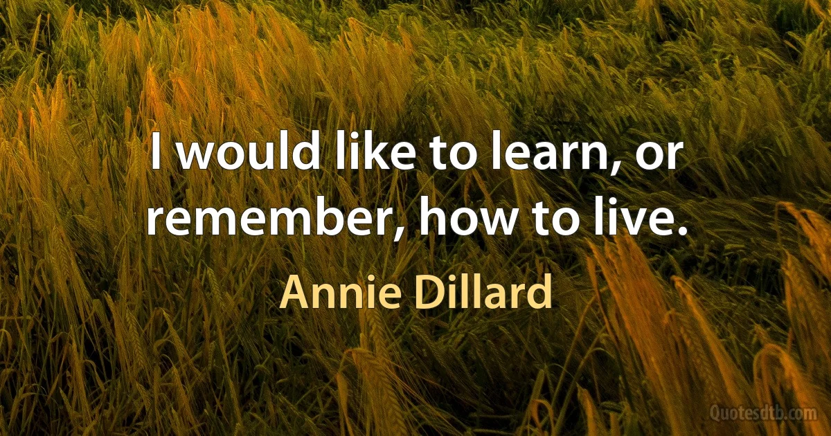 I would like to learn, or remember, how to live. (Annie Dillard)