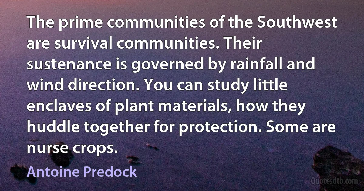 The prime communities of the Southwest are survival communities. Their sustenance is governed by rainfall and wind direction. You can study little enclaves of plant materials, how they huddle together for protection. Some are nurse crops. (Antoine Predock)