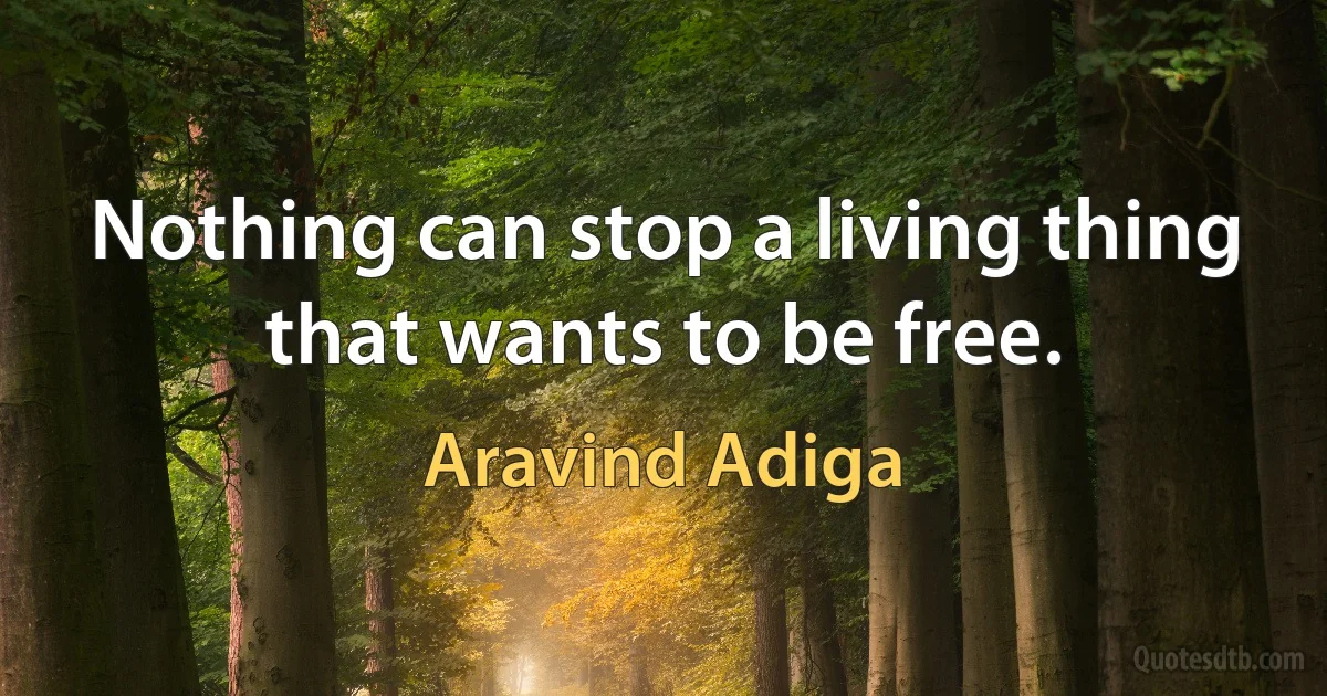 Nothing can stop a living thing that wants to be free. (Aravind Adiga)