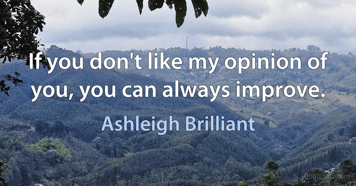 If you don't like my opinion of you, you can always improve. (Ashleigh Brilliant)