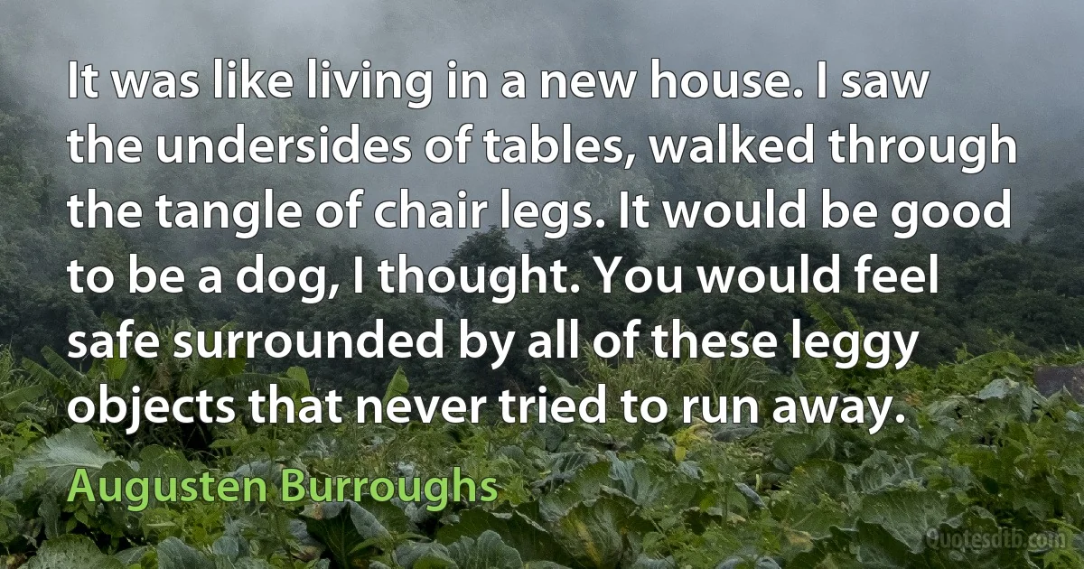 It was like living in a new house. I saw the undersides of tables, walked through the tangle of chair legs. It would be good to be a dog, I thought. You would feel safe surrounded by all of these leggy objects that never tried to run away. (Augusten Burroughs)