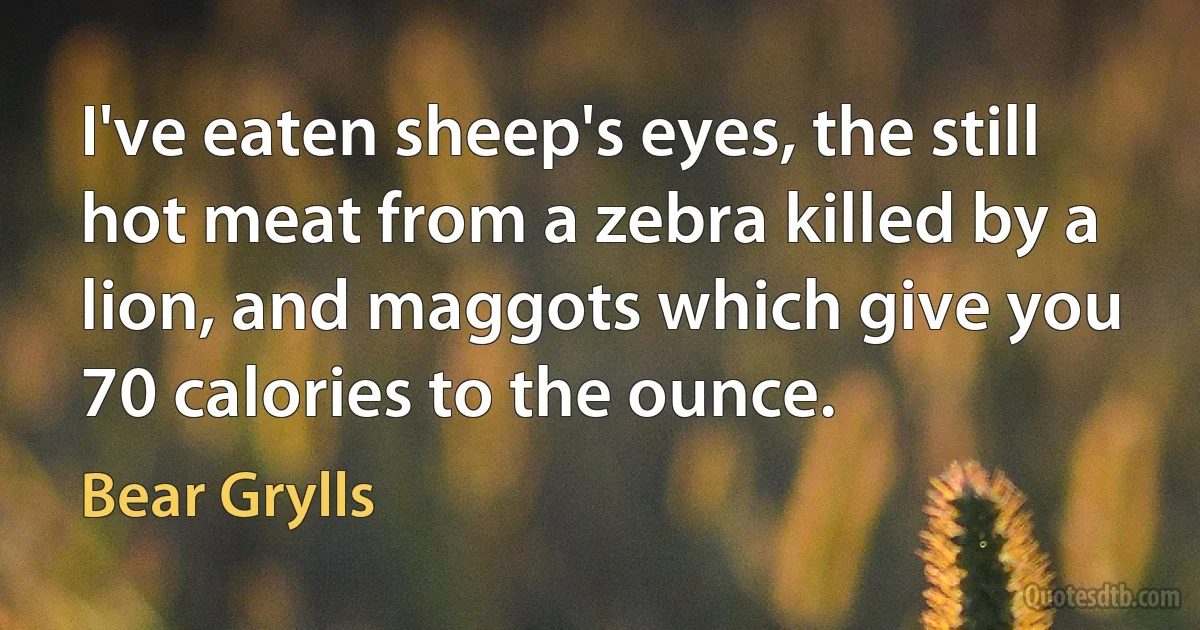 I've eaten sheep's eyes, the still hot meat from a zebra killed by a lion, and maggots which give you 70 calories to the ounce. (Bear Grylls)