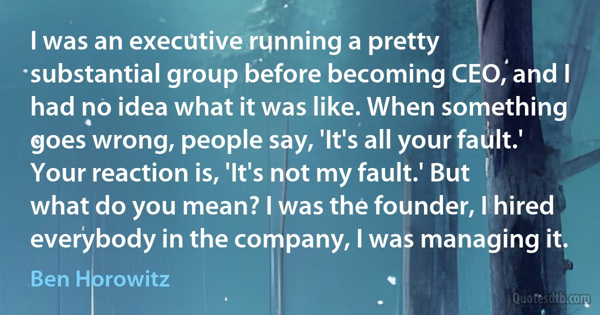 I was an executive running a pretty substantial group before becoming CEO, and I had no idea what it was like. When something goes wrong, people say, 'It's all your fault.' Your reaction is, 'It's not my fault.' But what do you mean? I was the founder, I hired everybody in the company, I was managing it. (Ben Horowitz)