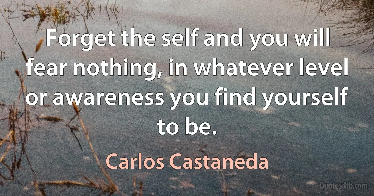 Forget the self and you will fear nothing, in whatever level or awareness you find yourself to be. (Carlos Castaneda)