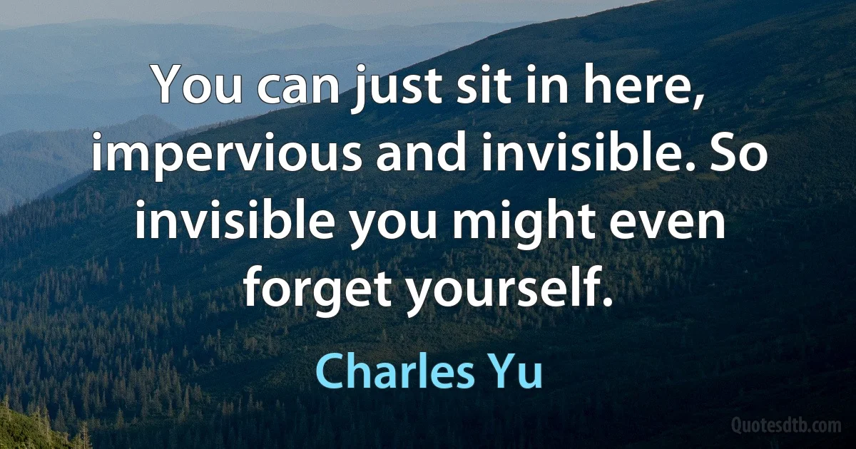 You can just sit in here, impervious and invisible. So invisible you might even forget yourself. (Charles Yu)