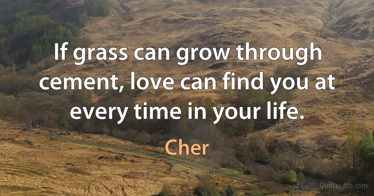 If grass can grow through cement, love can find you at every time in your life. (Cher)