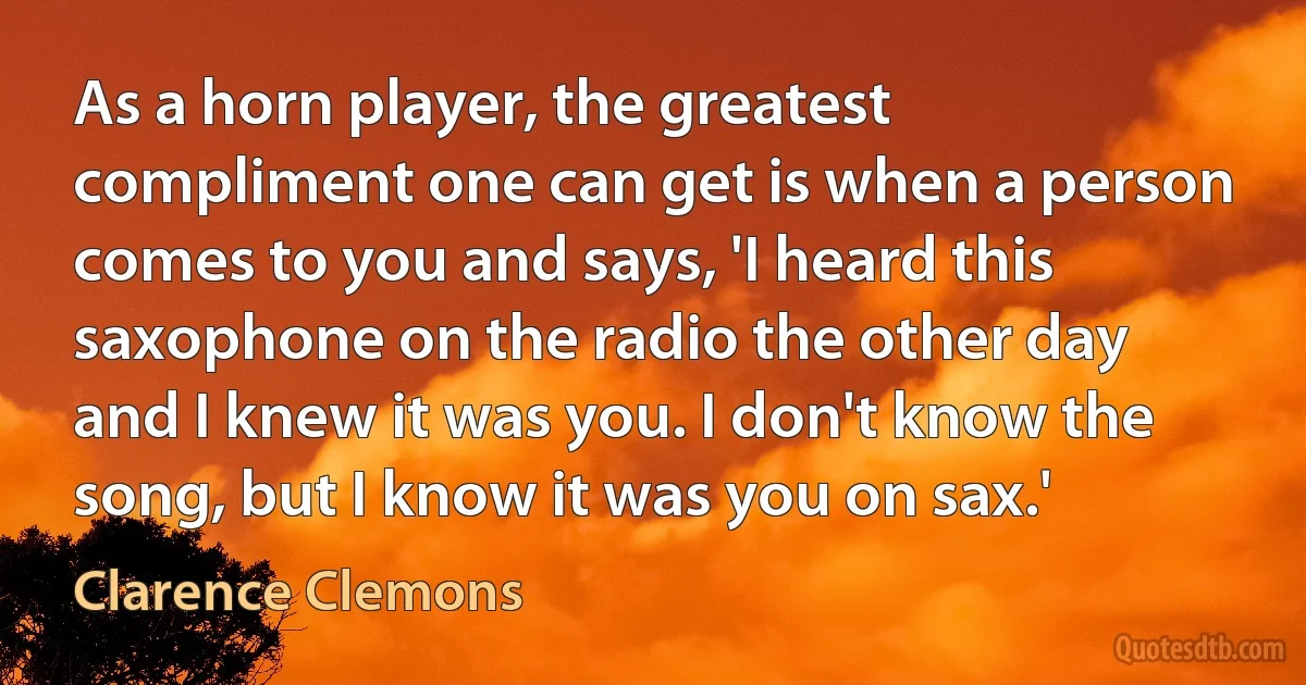 As a horn player, the greatest compliment one can get is when a person comes to you and says, 'I heard this saxophone on the radio the other day and I knew it was you. I don't know the song, but I know it was you on sax.' (Clarence Clemons)