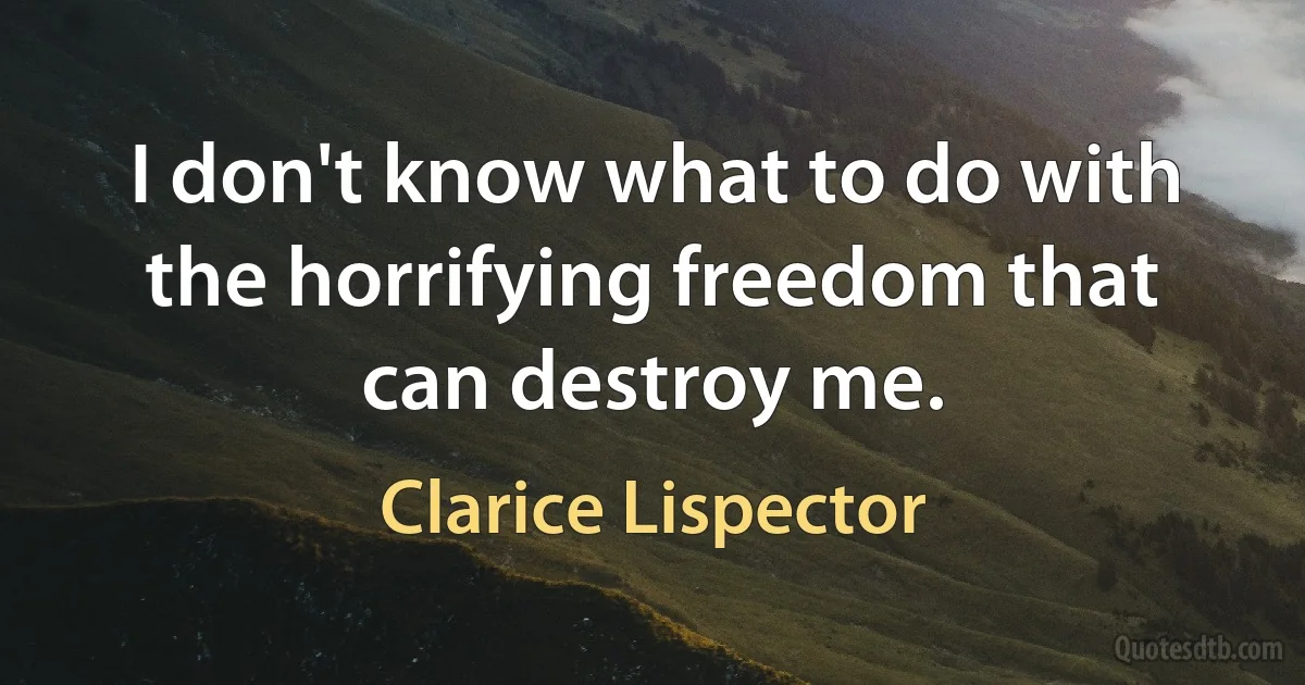 I don't know what to do with the horrifying freedom that can destroy me. (Clarice Lispector)