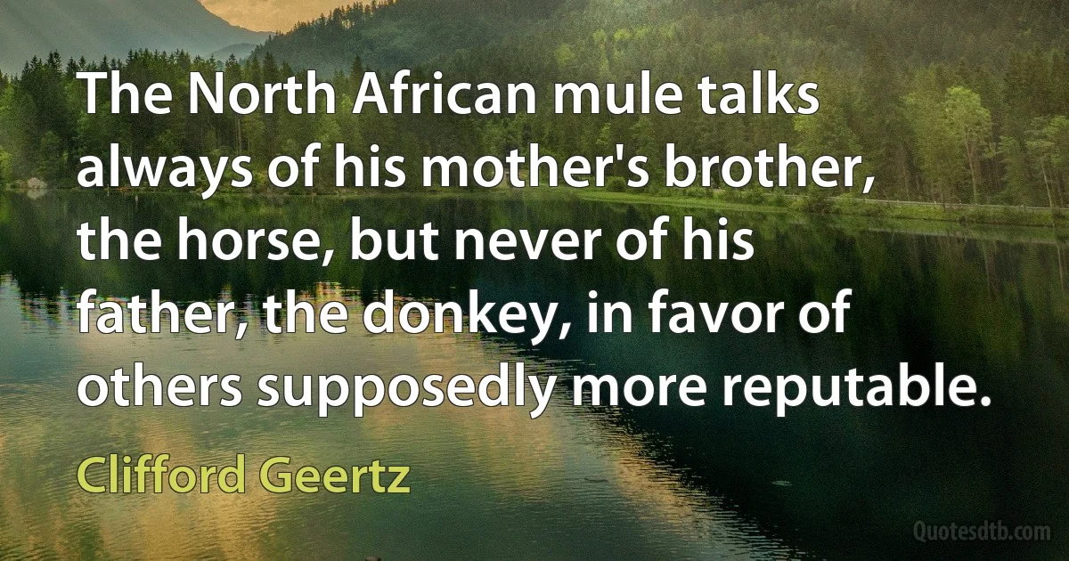 The North African mule talks always of his mother's brother, the horse, but never of his father, the donkey, in favor of others supposedly more reputable. (Clifford Geertz)