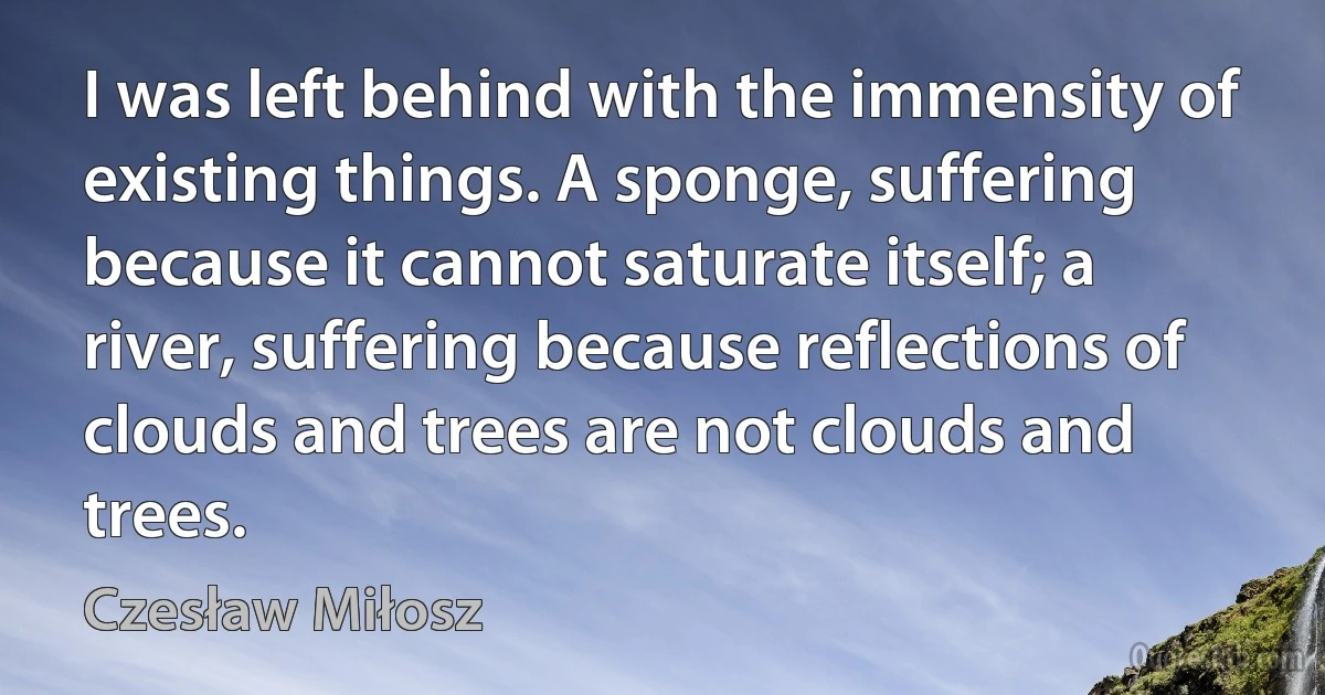 I was left behind with the immensity of existing things. A sponge, suffering because it cannot saturate itself; a river, suffering because reflections of clouds and trees are not clouds and trees. (Czesław Miłosz)