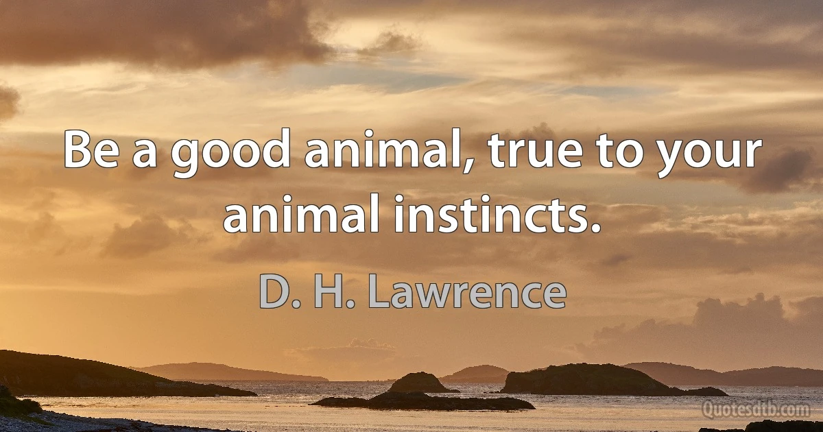 Be a good animal, true to your animal instincts. (D. H. Lawrence)