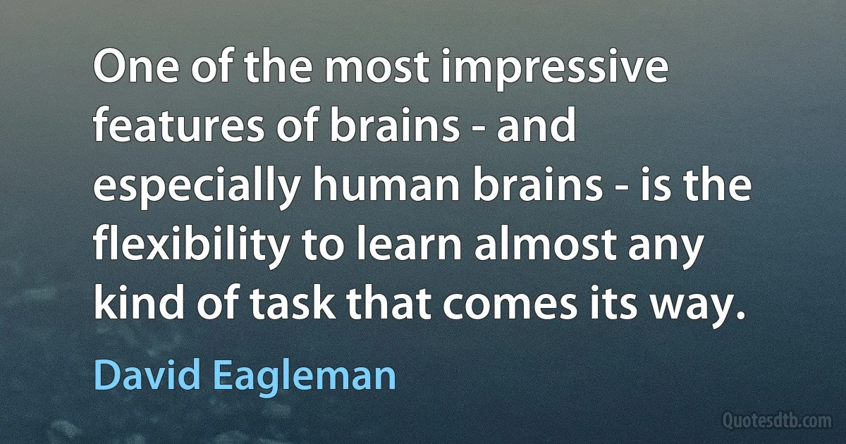 One of the most impressive features of brains - and especially human brains - is the flexibility to learn almost any kind of task that comes its way. (David Eagleman)