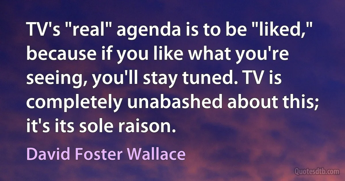 TV's "real" agenda is to be "liked," because if you like what you're seeing, you'll stay tuned. TV is completely unabashed about this; it's its sole raison. (David Foster Wallace)