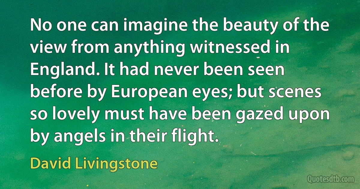 No one can imagine the beauty of the view from anything witnessed in England. It had never been seen before by European eyes; but scenes so lovely must have been gazed upon by angels in their flight. (David Livingstone)