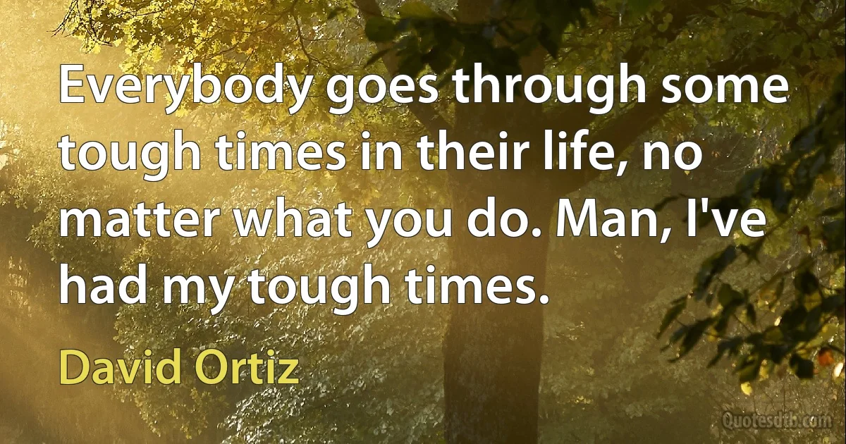 Everybody goes through some tough times in their life, no matter what you do. Man, I've had my tough times. (David Ortiz)