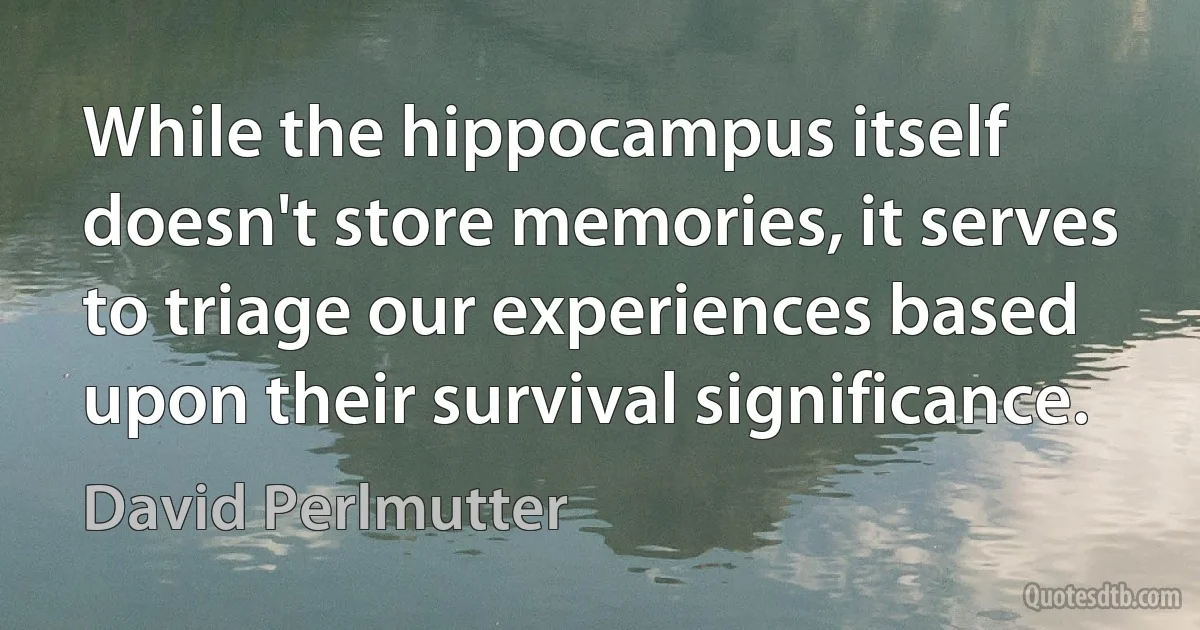 While the hippocampus itself doesn't store memories, it serves to triage our experiences based upon their survival significance. (David Perlmutter)