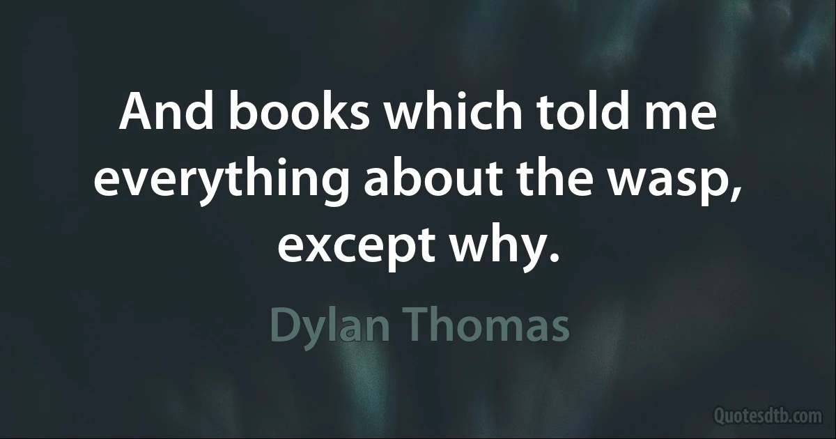 And books which told me everything about the wasp, except why. (Dylan Thomas)