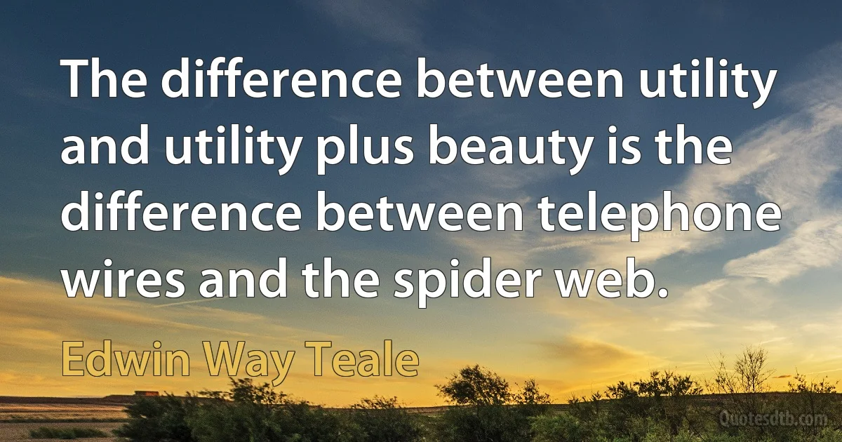 The difference between utility and utility plus beauty is the difference between telephone wires and the spider web. (Edwin Way Teale)