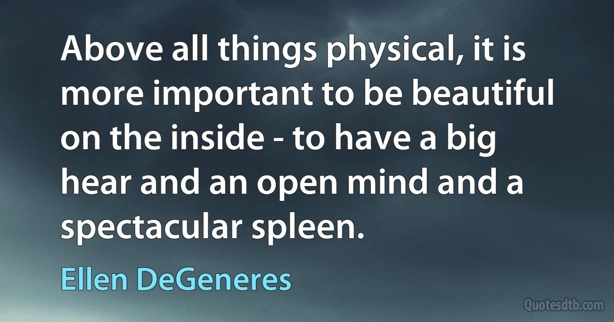 Above all things physical, it is more important to be beautiful on the inside - to have a big hear and an open mind and a spectacular spleen. (Ellen DeGeneres)