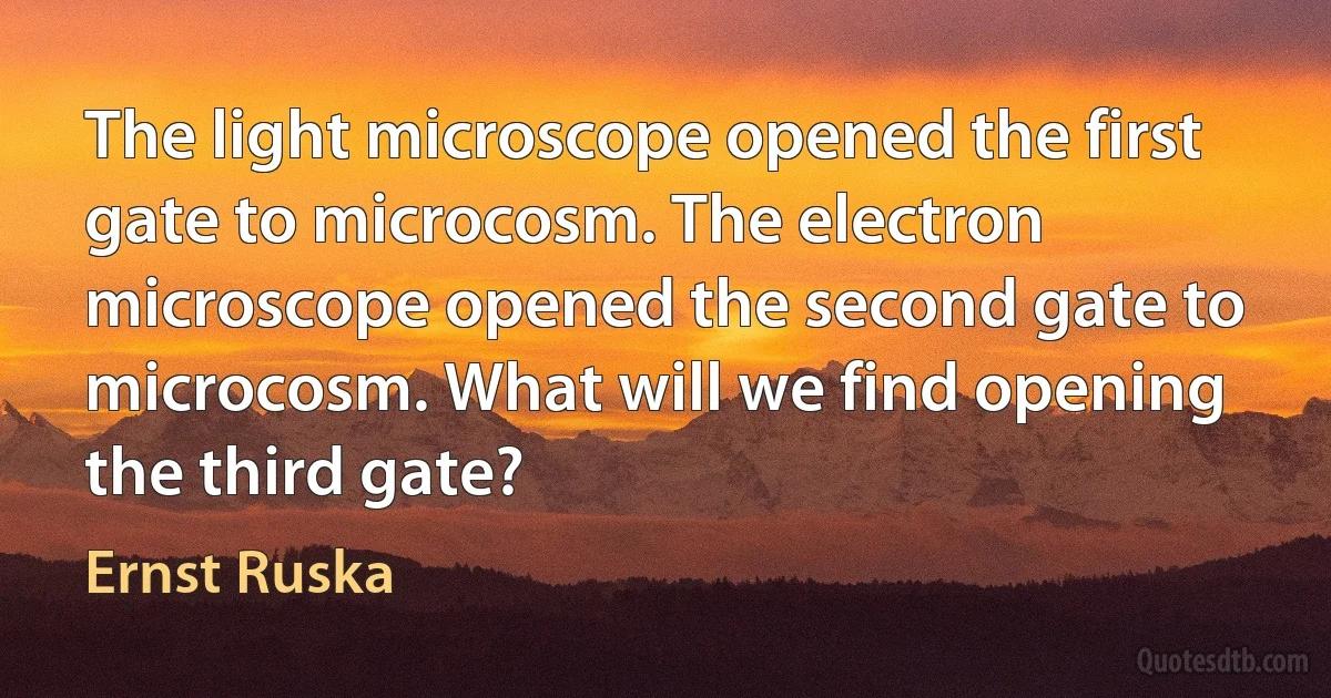 The light microscope opened the first gate to microcosm. The electron microscope opened the second gate to microcosm. What will we find opening the third gate? (Ernst Ruska)