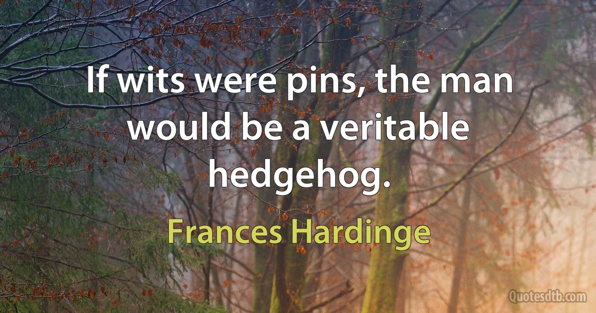 If wits were pins, the man would be a veritable hedgehog. (Frances Hardinge)