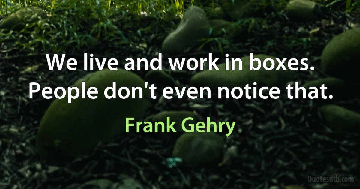 We live and work in boxes. People don't even notice that. (Frank Gehry)