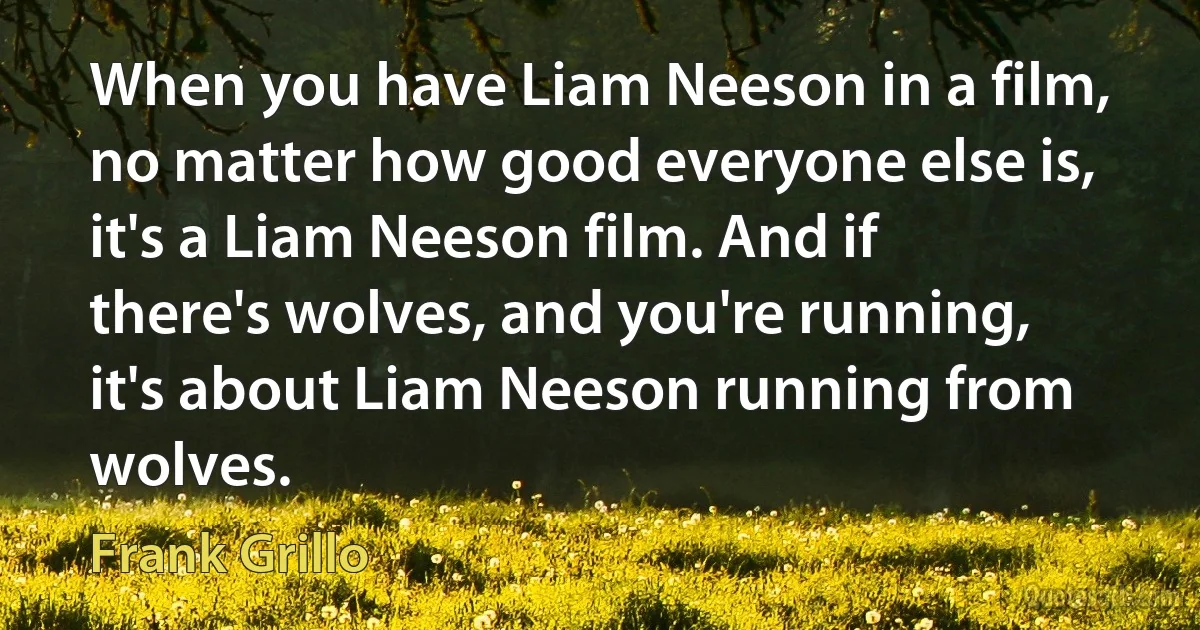 When you have Liam Neeson in a film, no matter how good everyone else is, it's a Liam Neeson film. And if there's wolves, and you're running, it's about Liam Neeson running from wolves. (Frank Grillo)