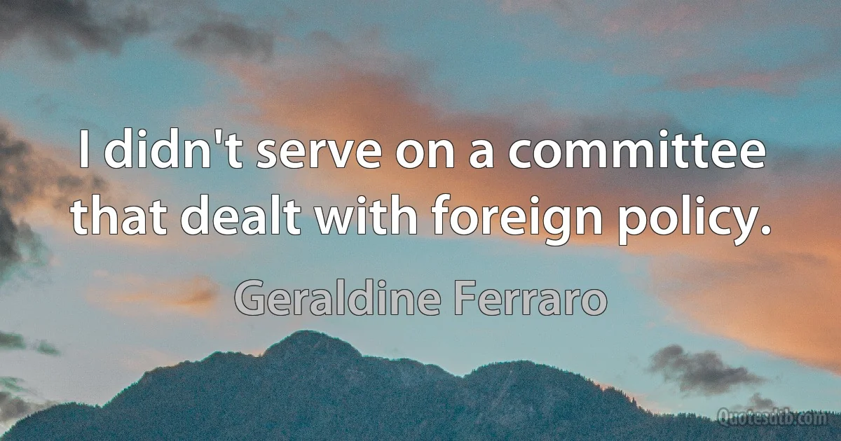 I didn't serve on a committee that dealt with foreign policy. (Geraldine Ferraro)