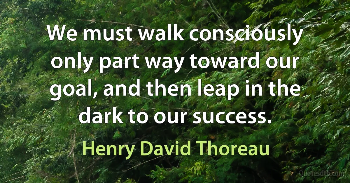 We must walk consciously only part way toward our goal, and then leap in the dark to our success. (Henry David Thoreau)