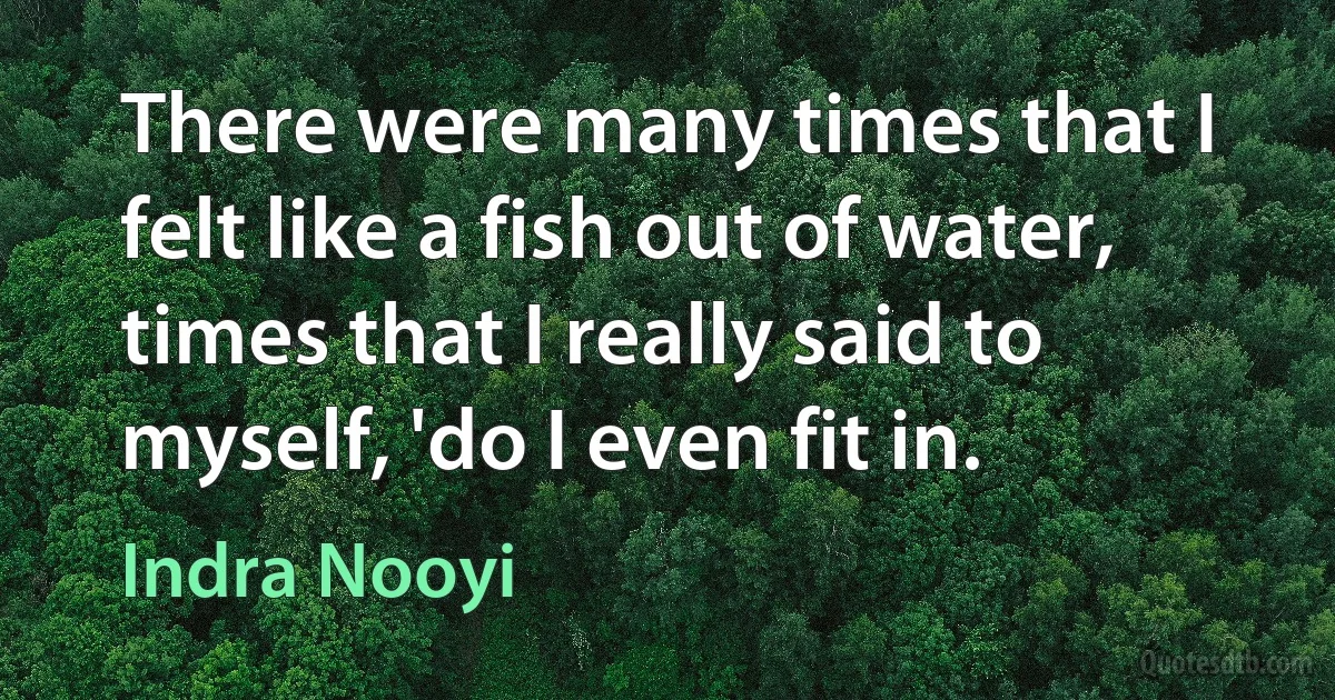 There were many times that I felt like a fish out of water, times that I really said to myself, 'do I even fit in. (Indra Nooyi)