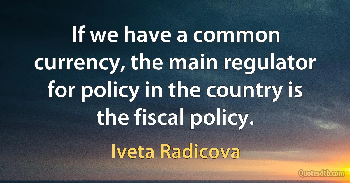 If we have a common currency, the main regulator for policy in the country is the fiscal policy. (Iveta Radicova)