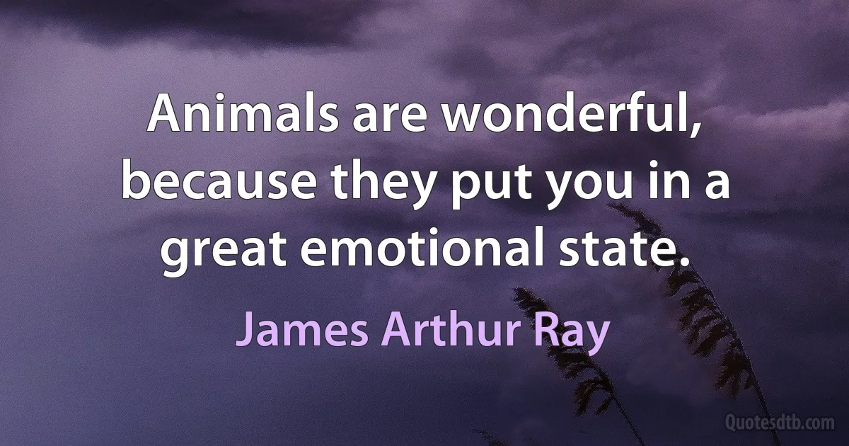 Animals are wonderful, because they put you in a great emotional state. (James Arthur Ray)