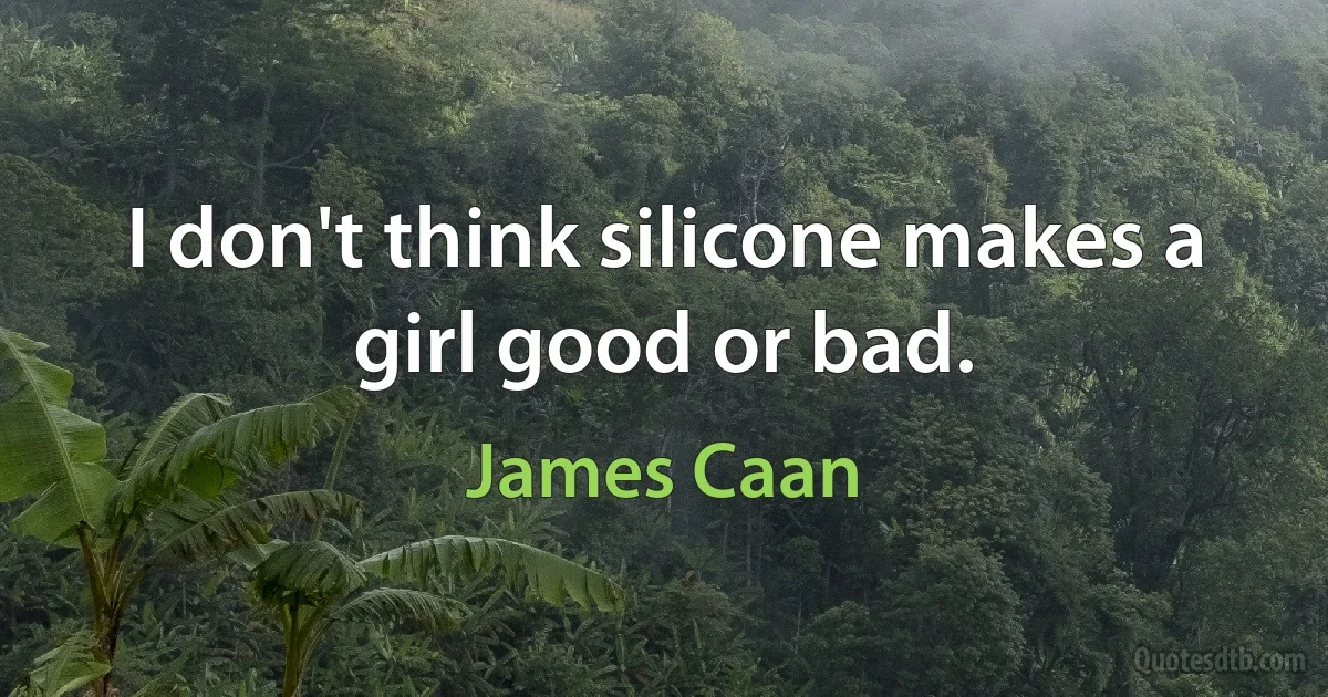 I don't think silicone makes a girl good or bad. (James Caan)