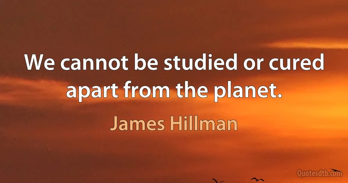 We cannot be studied or cured apart from the planet. (James Hillman)