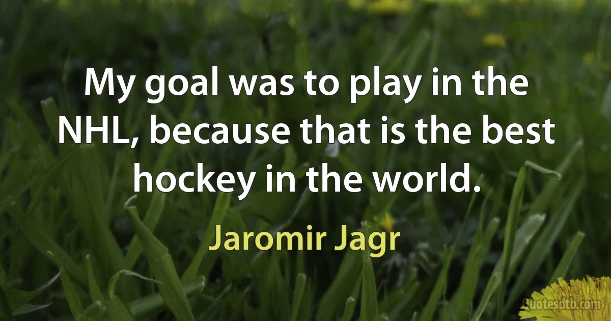 My goal was to play in the NHL, because that is the best hockey in the world. (Jaromir Jagr)