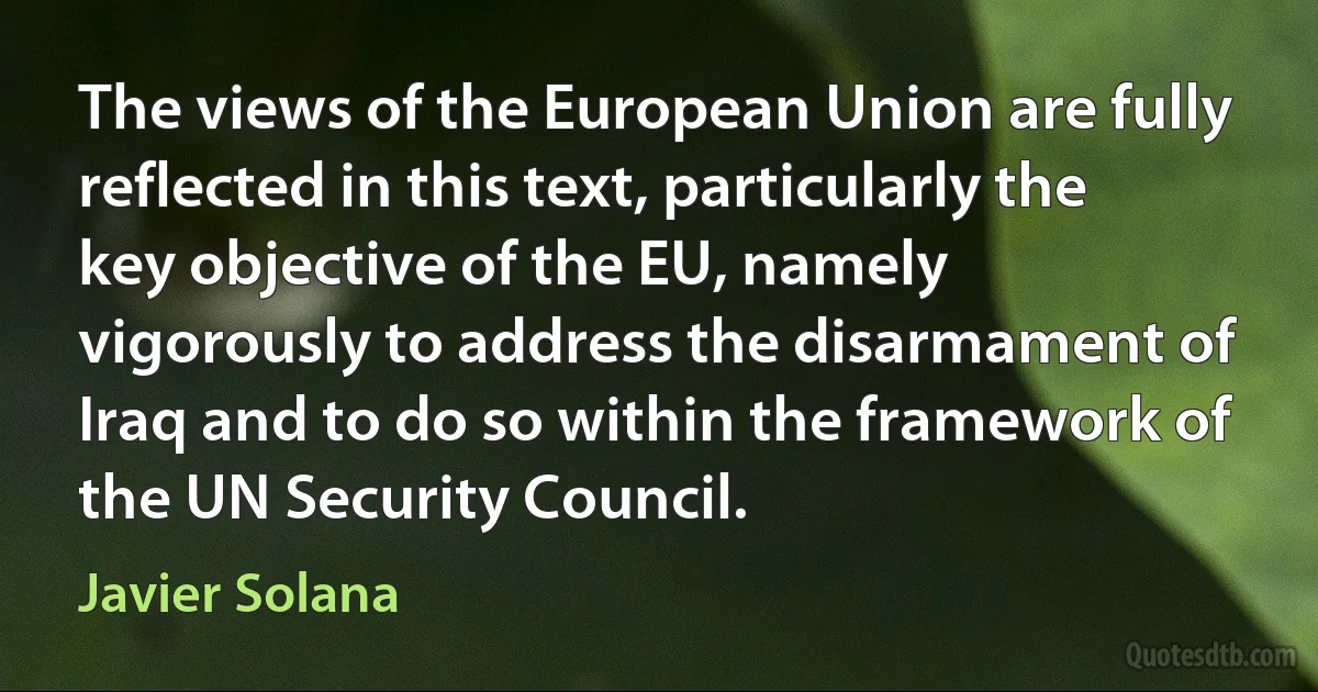 The views of the European Union are fully reflected in this text, particularly the key objective of the EU, namely vigorously to address the disarmament of Iraq and to do so within the framework of the UN Security Council. (Javier Solana)