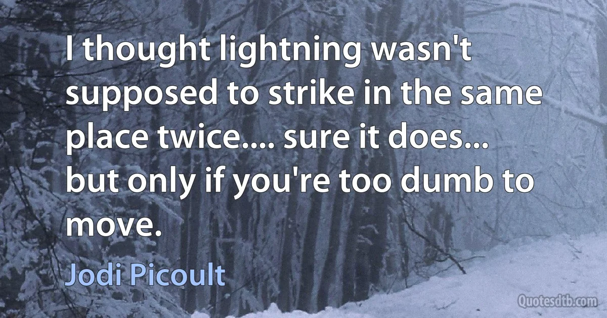 I thought lightning wasn't supposed to strike in the same place twice.... sure it does... but only if you're too dumb to move. (Jodi Picoult)