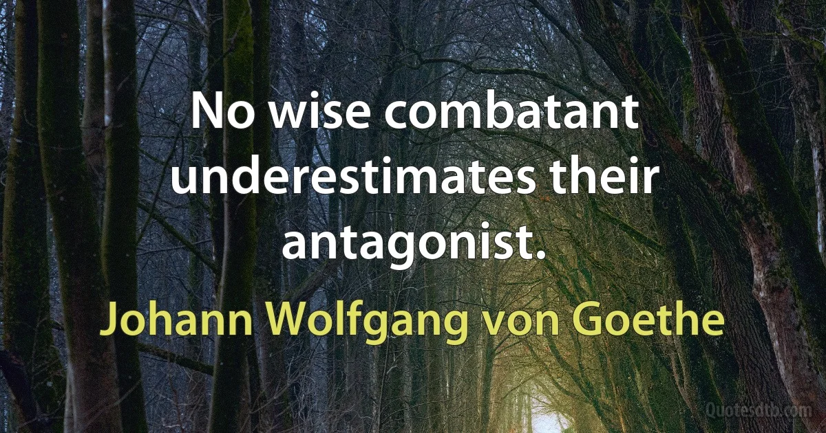 No wise combatant underestimates their antagonist. (Johann Wolfgang von Goethe)