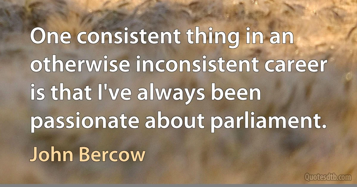 One consistent thing in an otherwise inconsistent career is that I've always been passionate about parliament. (John Bercow)