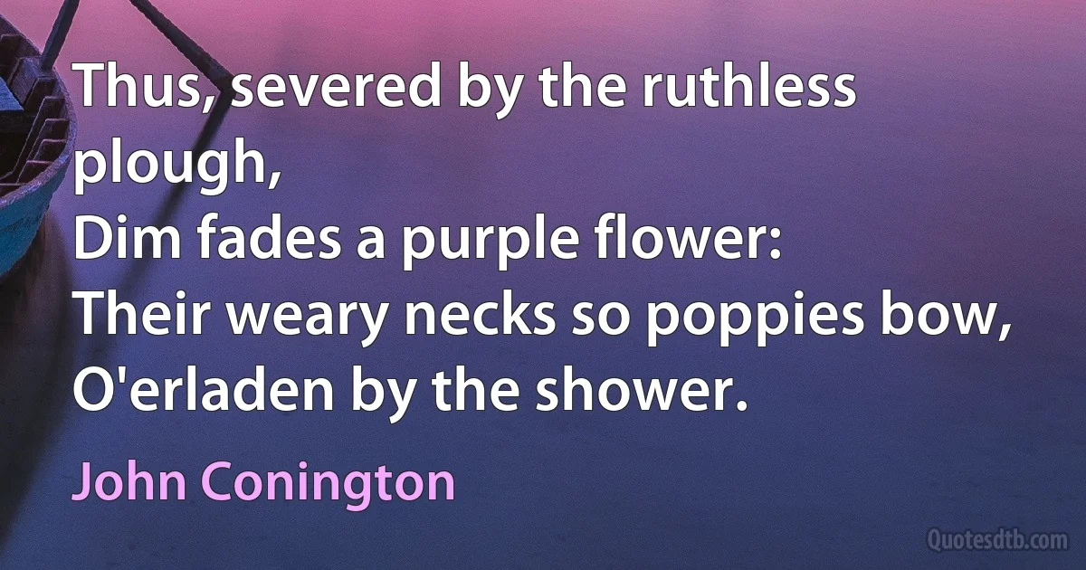 Thus, severed by the ruthless plough,
Dim fades a purple flower:
Their weary necks so poppies bow,
O'erladen by the shower. (John Conington)