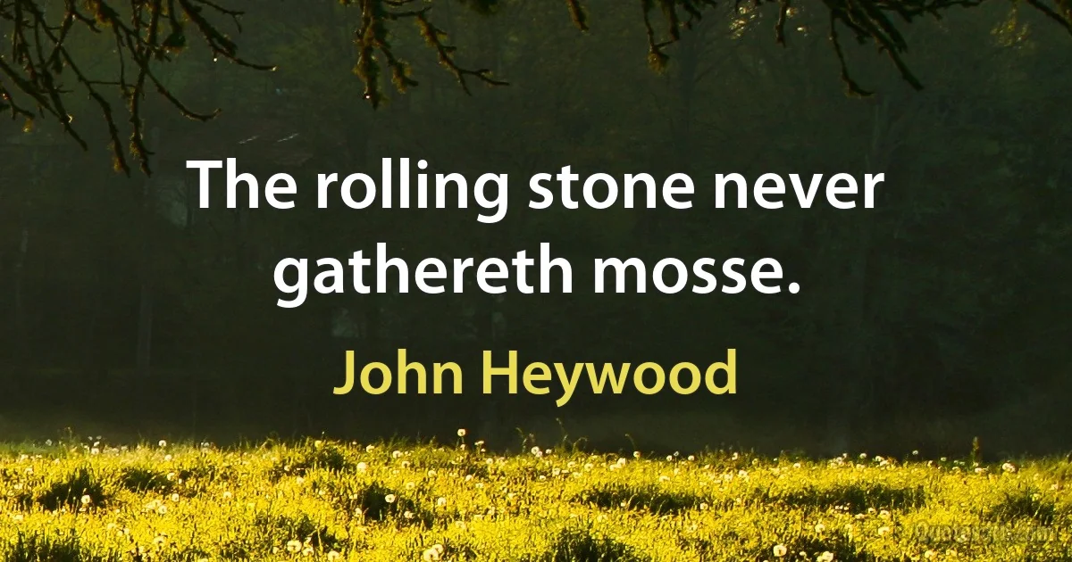 The rolling stone never gathereth mosse. (John Heywood)