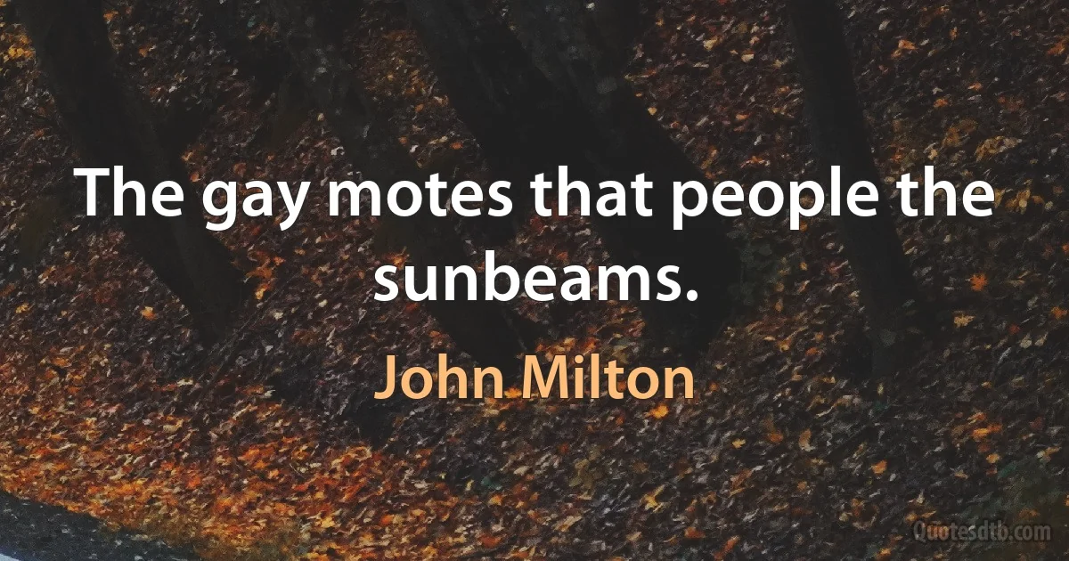 The gay motes that people the sunbeams. (John Milton)