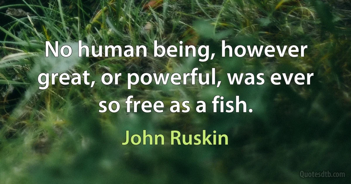 No human being, however great, or powerful, was ever so free as a fish. (John Ruskin)