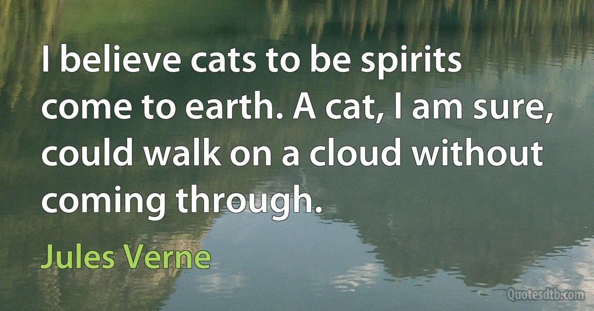 I believe cats to be spirits come to earth. A cat, I am sure, could walk on a cloud without coming through. (Jules Verne)