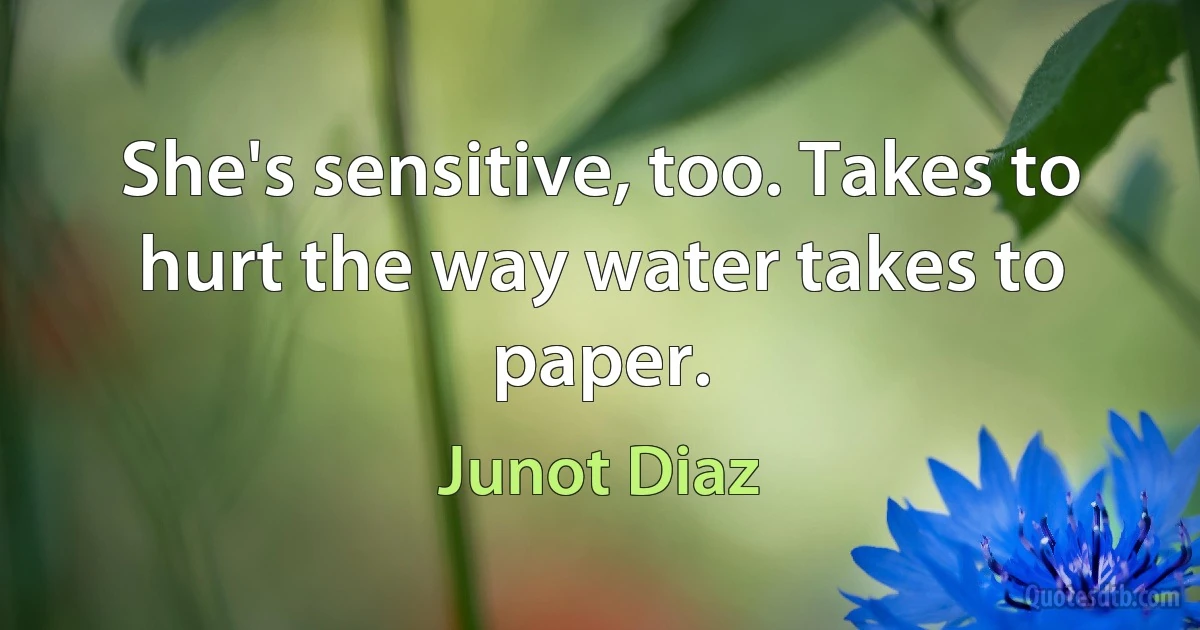 She's sensitive, too. Takes to hurt the way water takes to paper. (Junot Diaz)