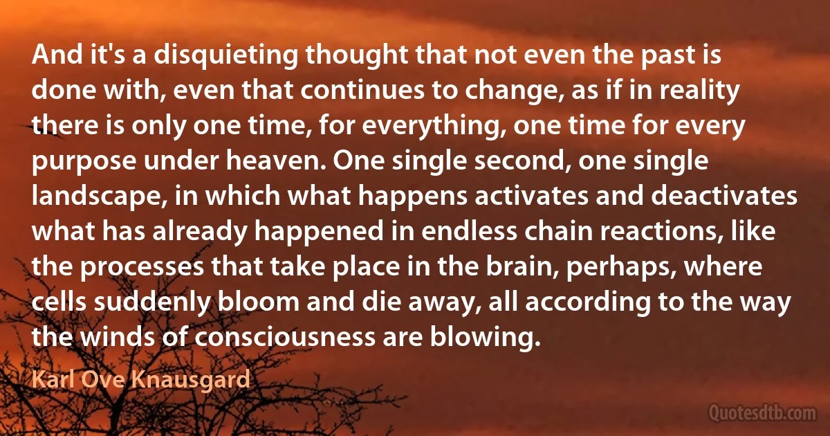 And it's a disquieting thought that not even the past is done with, even that continues to change, as if in reality there is only one time, for everything, one time for every purpose under heaven. One single second, one single landscape, in which what happens activates and deactivates what has already happened in endless chain reactions, like the processes that take place in the brain, perhaps, where cells suddenly bloom and die away, all according to the way the winds of consciousness are blowing. (Karl Ove Knausgard)