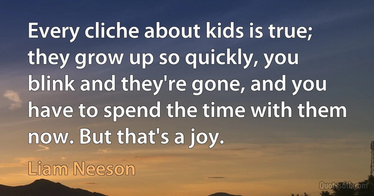 Every cliche about kids is true; they grow up so quickly, you blink and they're gone, and you have to spend the time with them now. But that's a joy. (Liam Neeson)