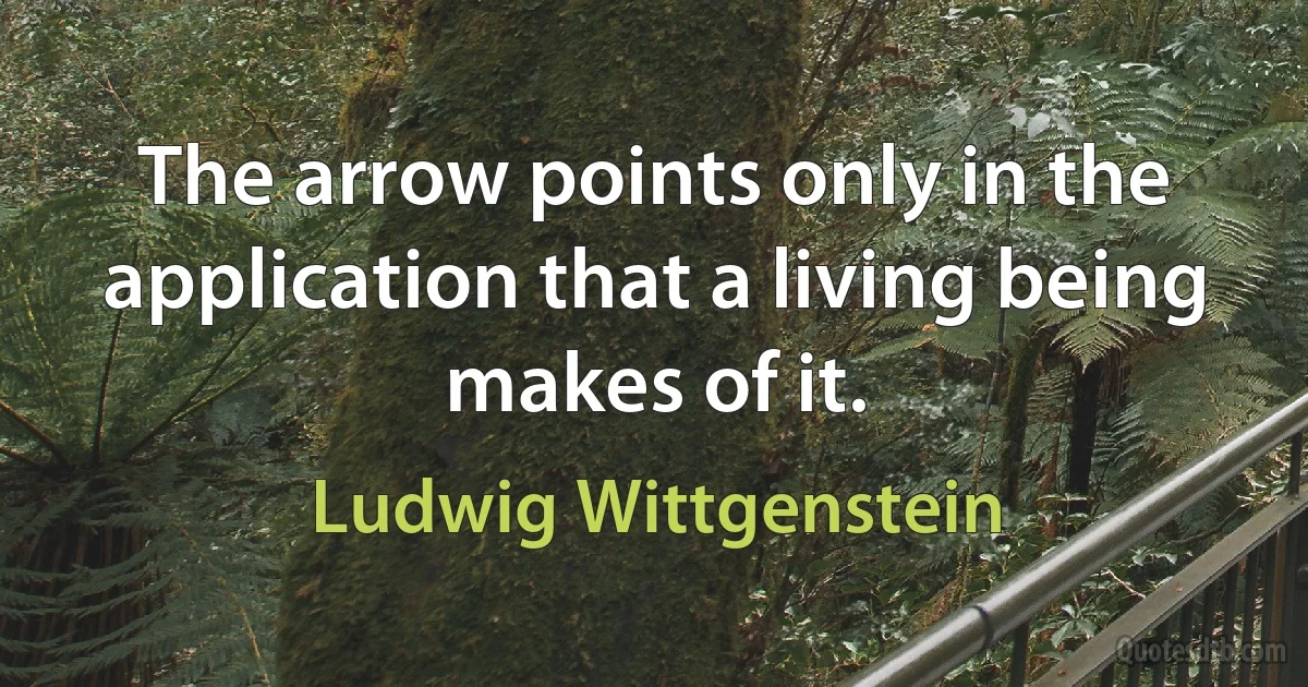 The arrow points only in the application that a living being makes of it. (Ludwig Wittgenstein)