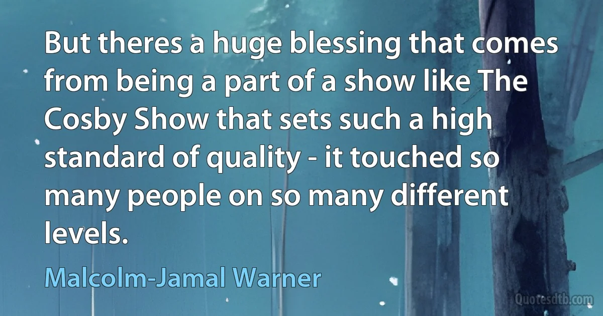 But theres a huge blessing that comes from being a part of a show like The Cosby Show that sets such a high standard of quality - it touched so many people on so many different levels. (Malcolm-Jamal Warner)