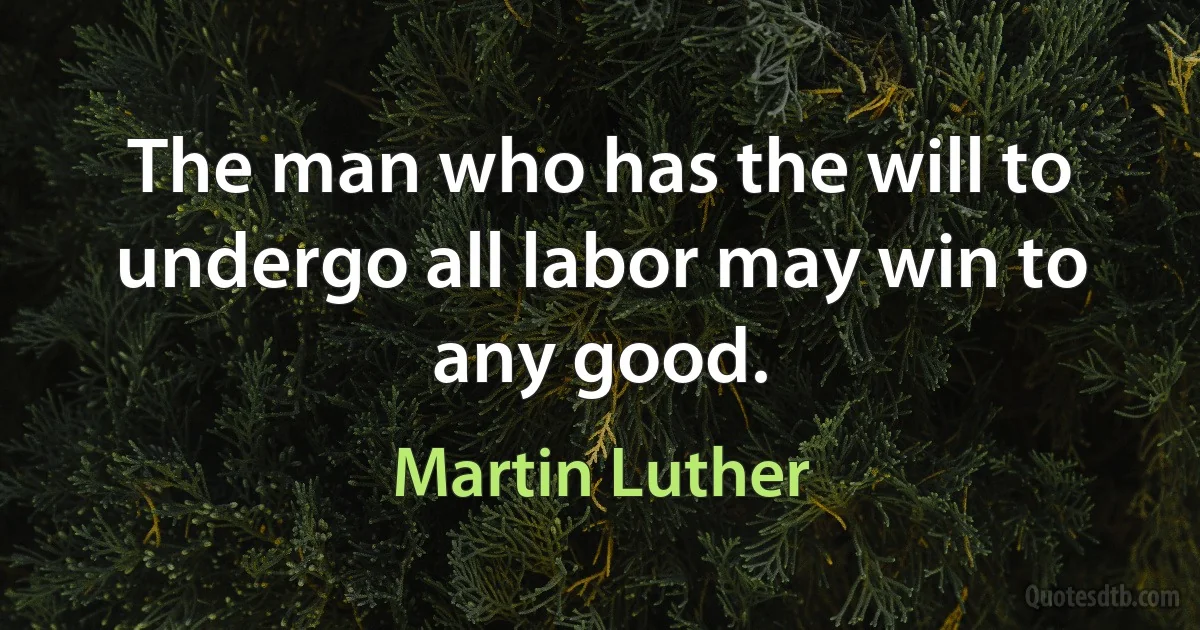 The man who has the will to undergo all labor may win to any good. (Martin Luther)